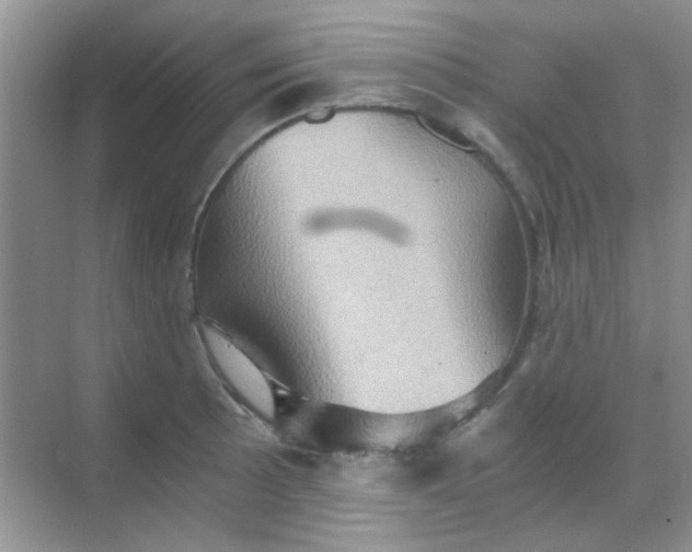 X0000068861089200605192011