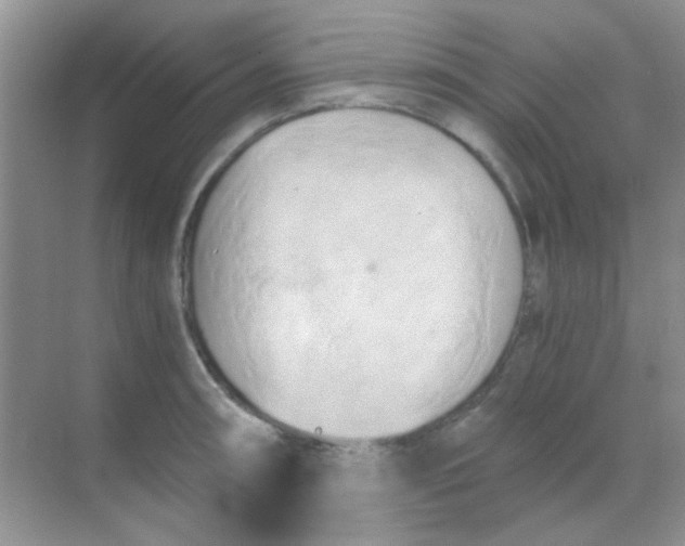 X0000068861090200605192011