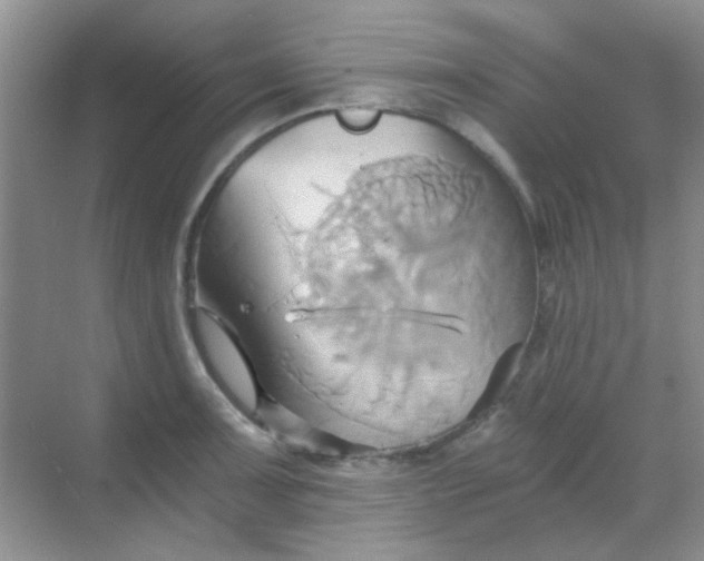 X0000068861091200605192011