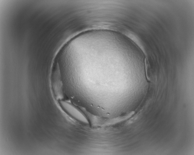 X0000068861093200605192011