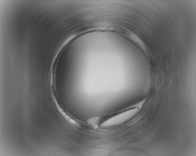 X0000068861095200605192011