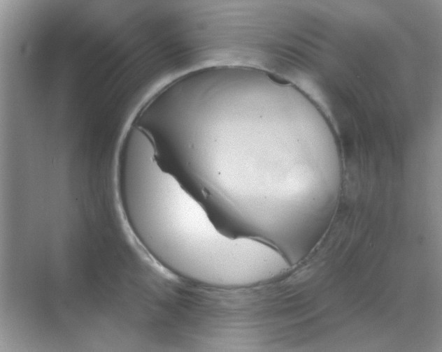 X0000068861096200605192011