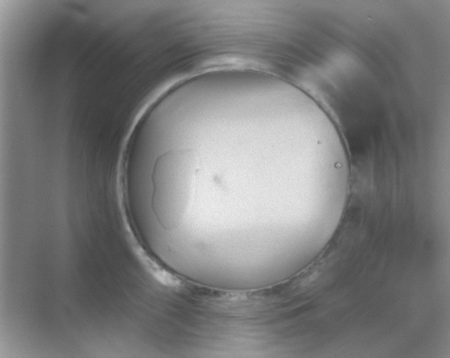 X0000068861098200605192011