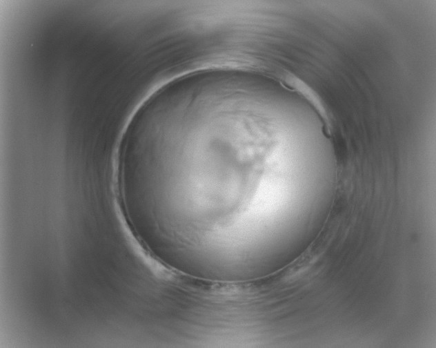 X0000068861099200605192011