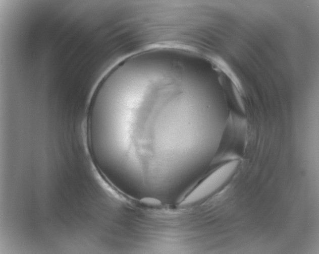 X0000068861100200605192011