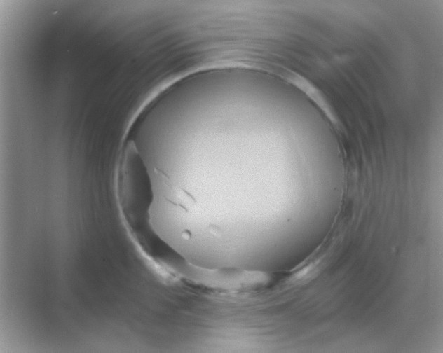 X0000068861101200605192011