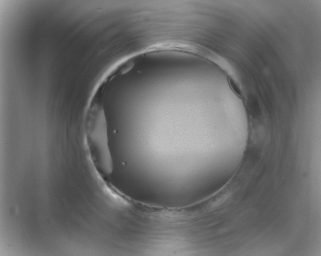 X0000068861102200605192011