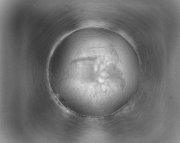 X0000068861104200605192011