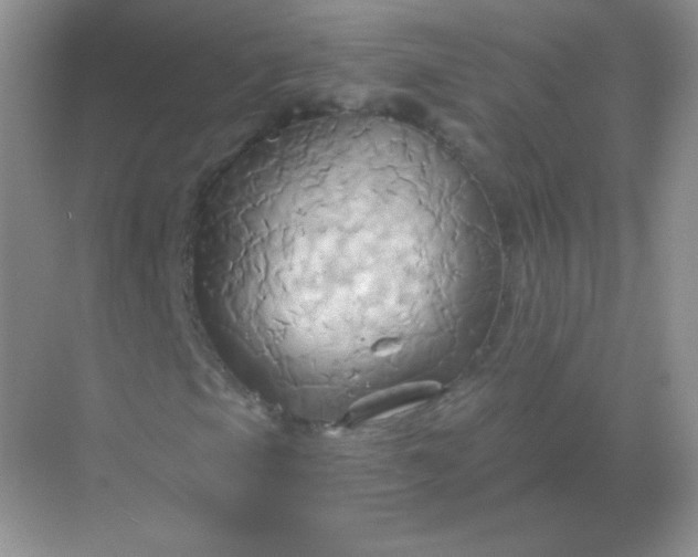 X0000068861105200605192010