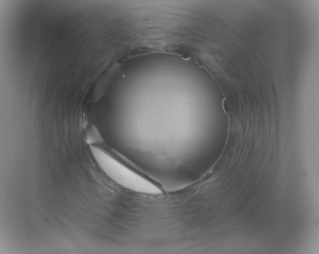 X0000068861106200605192010