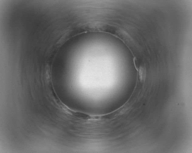 X0000068861107200605192010