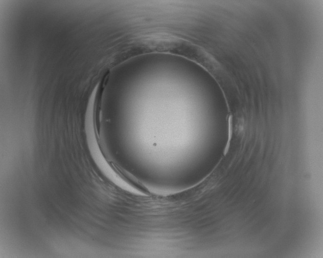 X0000068861108200605192010