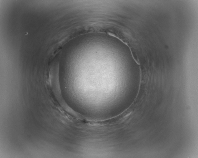 X0000068861109200605192010