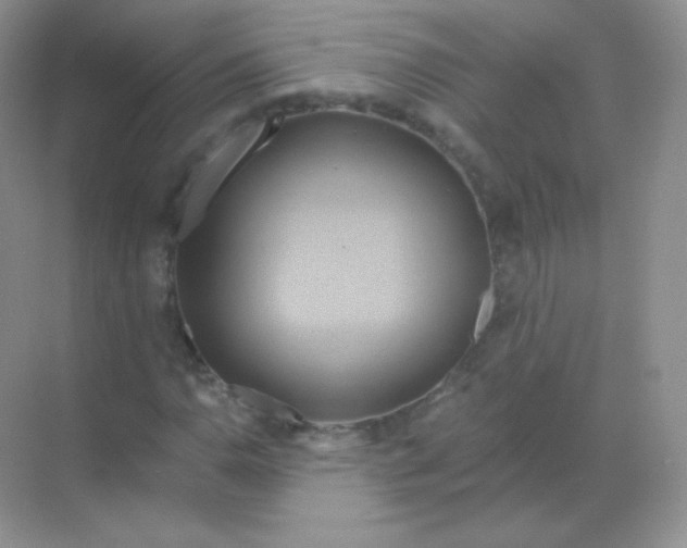 X0000068861110200605192010