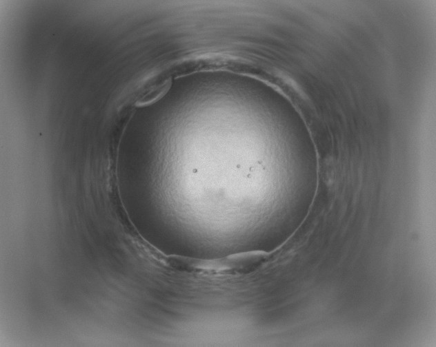 X0000068861111200605192010