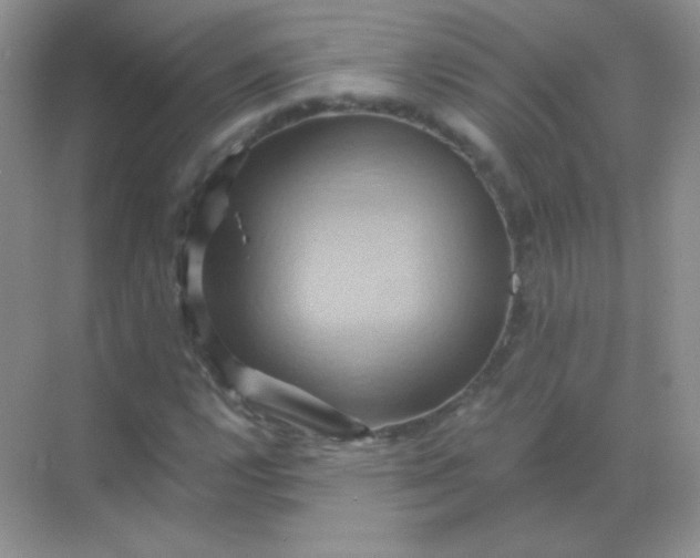 X0000068861112200605192010