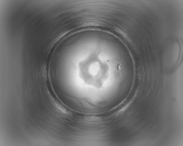 X0000068861113200605192010