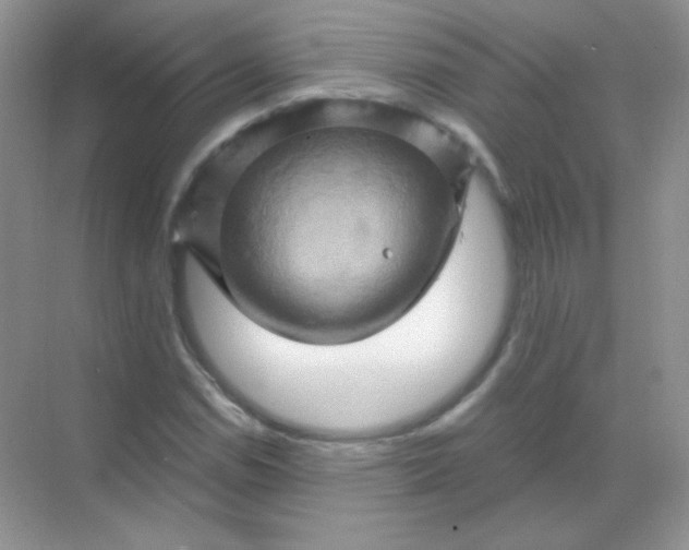 X0000068861114200605192010