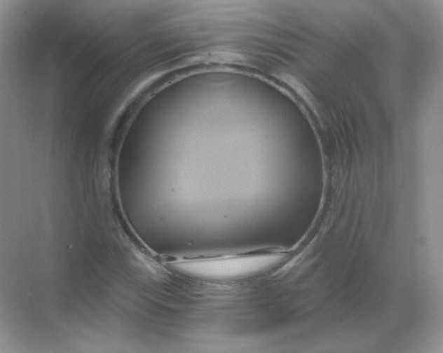 X0000068861115200605192010