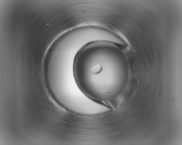 X0000068861116200605192010