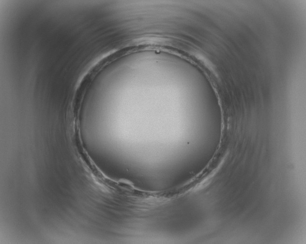 X0000068861117200605192010