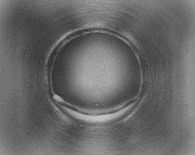 X0000068861118200605192010