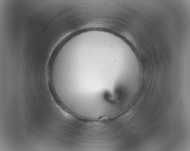 X0000068861119200605192010