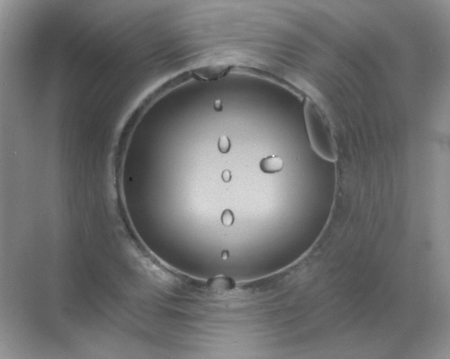 X0000068861120200605192010