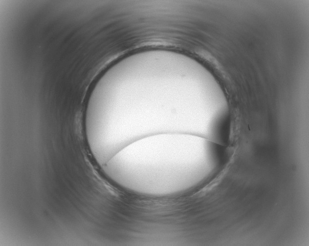 X0000068861121200605192010