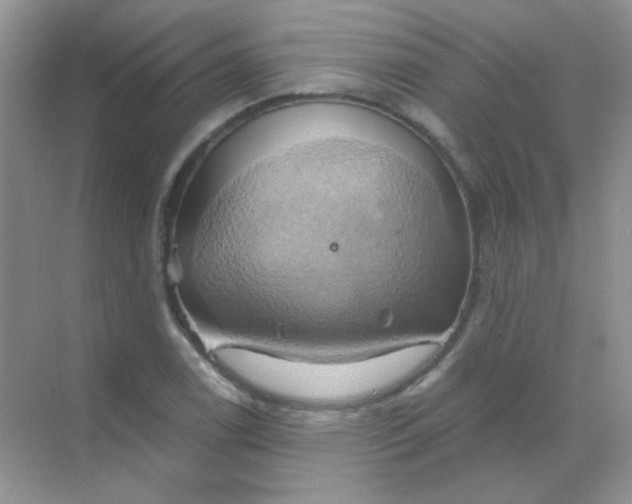 X0000068861122200605192010