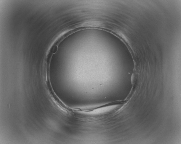 X0000068861123200605192010