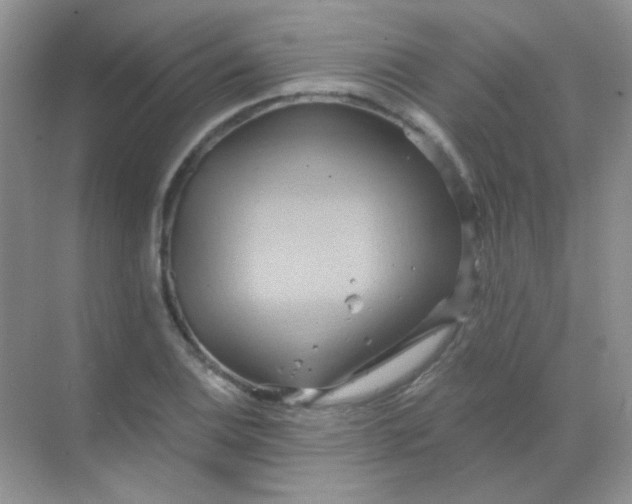 X0000068861124200605192010