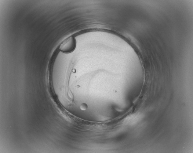 X0000068861125200605192010