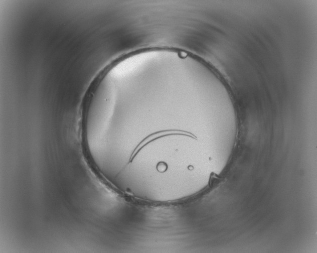 X0000068861126200605192010