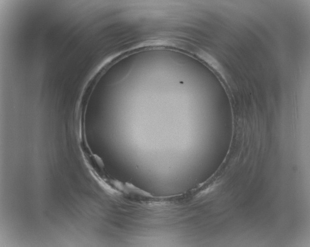 X0000068861127200605192010