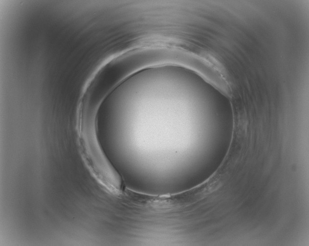 X0000068861128200605192010