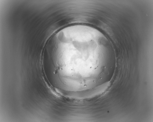 X0000068861129200605192010