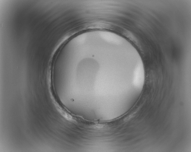 X0000068861130200605192010