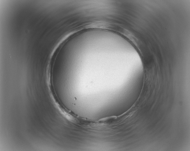 X0000068861131200605192010