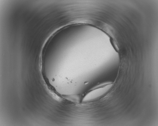 X0000068861132200605192010