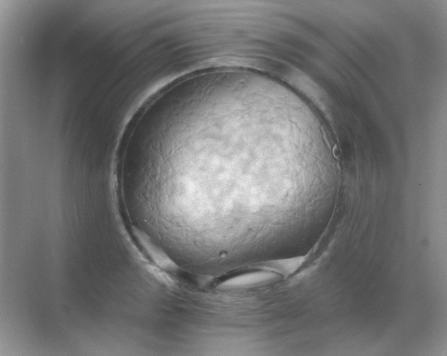 X0000068861133200605192010