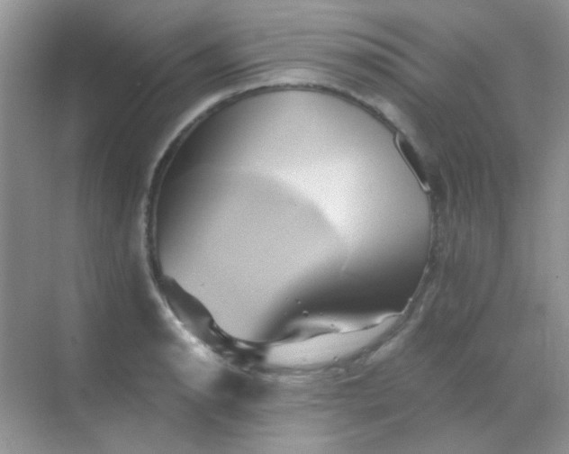 X0000068861134200605192010