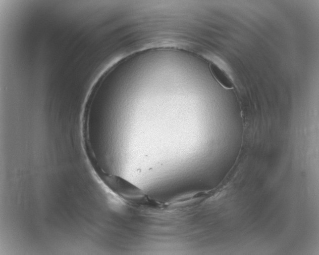 X0000068861135200605192010