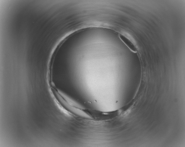 X0000068861136200605192010