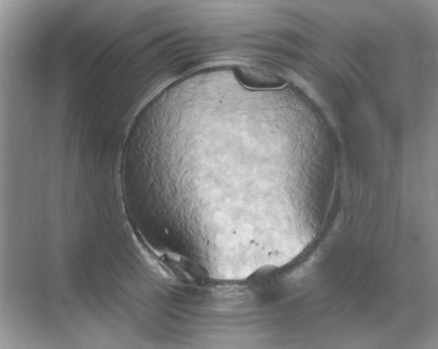 X0000068861137200605192010