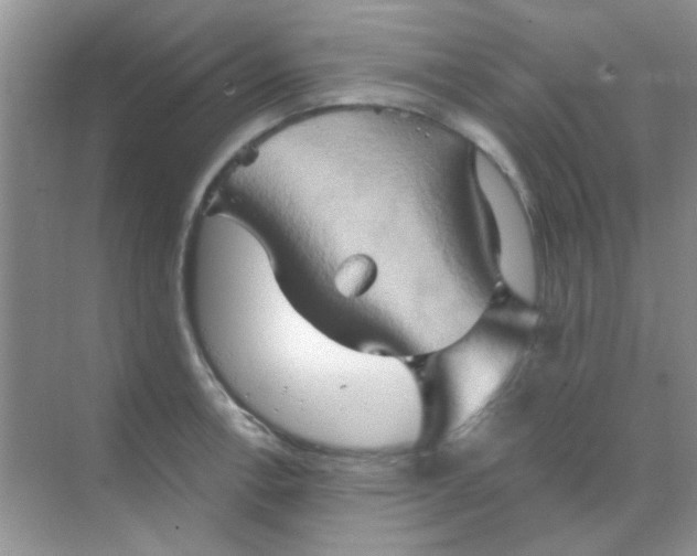 X0000068861138200605192010