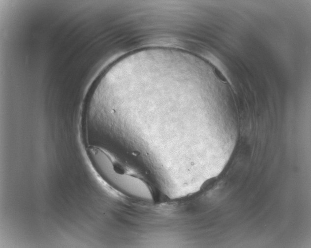 X0000068861139200605192010