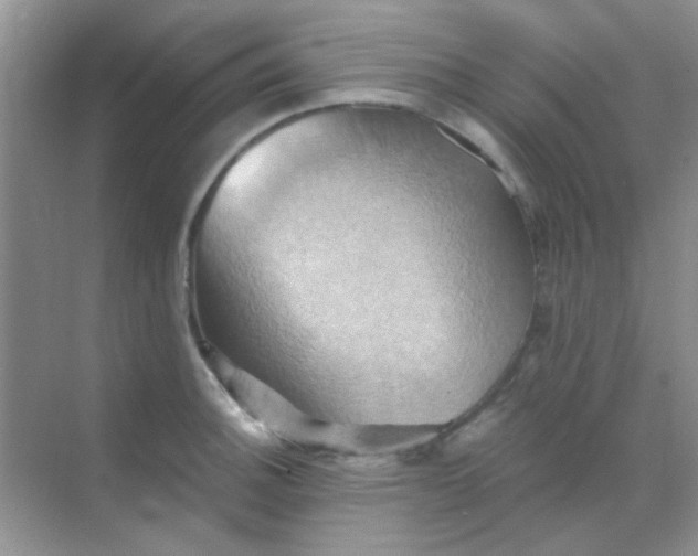 X0000068861140200605192010