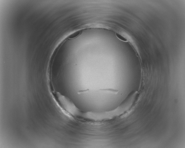 X0000068861141200605192010