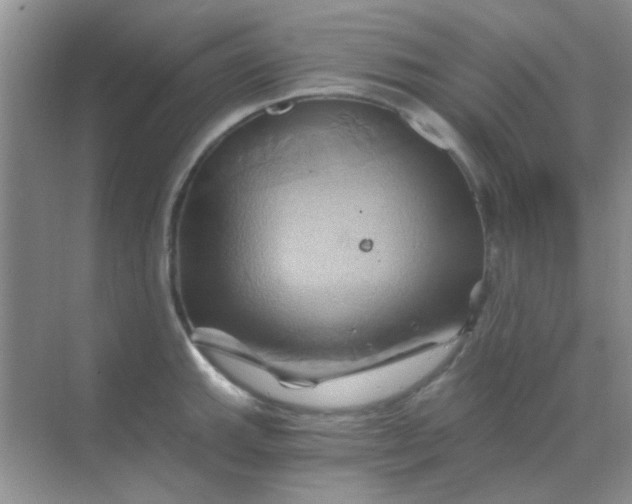 X0000068861143200605192010